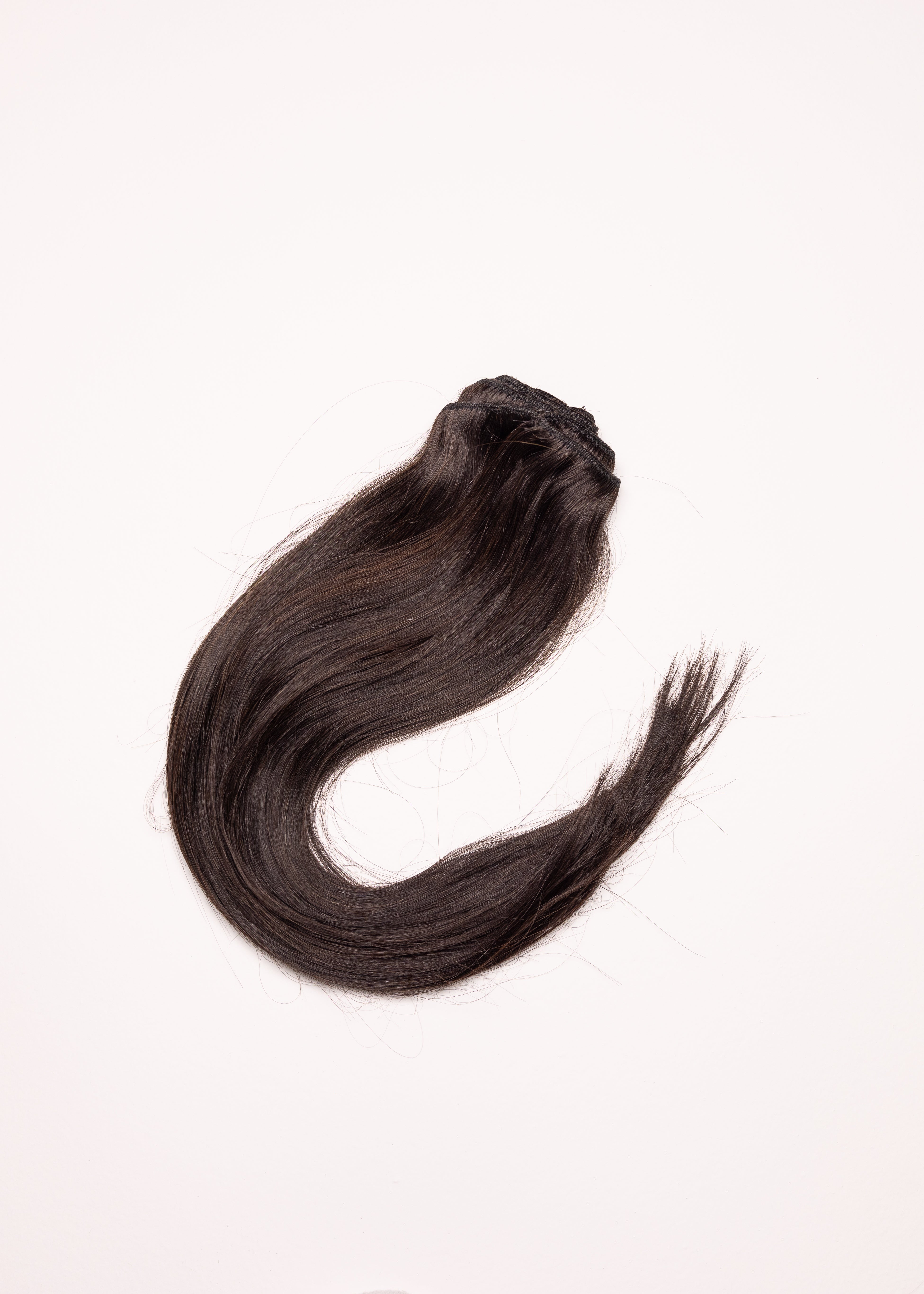 Ash Brown [9] Clip-Ins